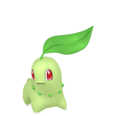 6IV Chikorita Indigo Disk Pokemon Scarlet and Violet